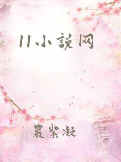 11小说网