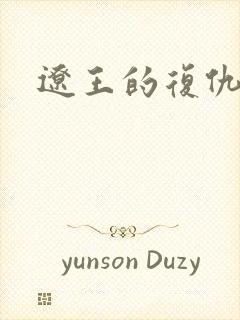 辽王的复仇小妾