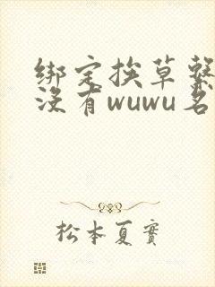 绑定挨草系统后没有wuwu名字