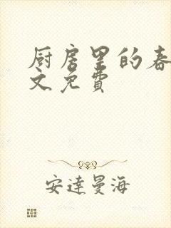 厨房里的春天全文免费