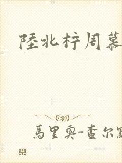 陆北柠周慕深