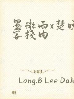 墨微雨x楚晚宁客栈肉