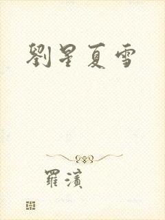 刘星夏雪