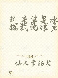 我老婆是冰山女总裁沈浪免费阅读