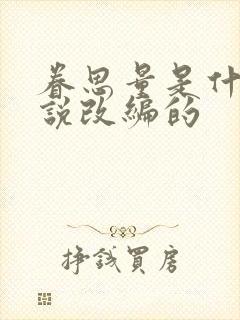 眷思量是什么小说改编的