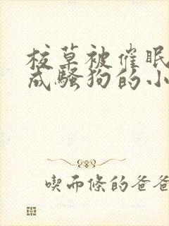 校草被催眠洗脑成骚狗的小说