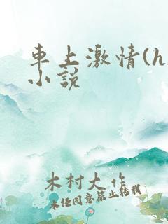 车上激情(h)小说