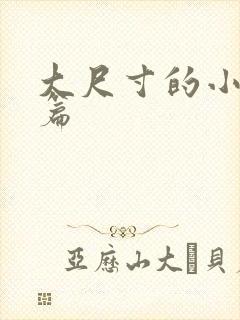 大尺寸的小说短篇