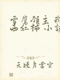 雪鹰领主 我吃西红柿 小说