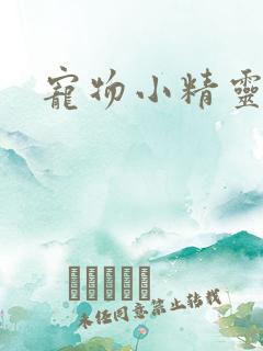 宠物小精灵之梦