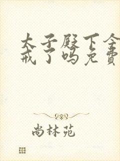 太子殿下今天破戒了吗免费阅读