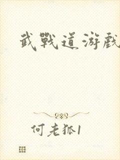 武战道游戏