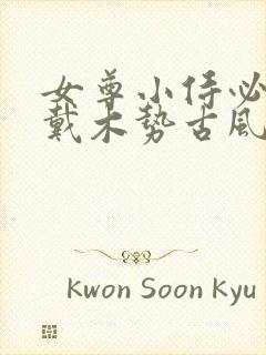 女尊小侍必须佩戴木势古风