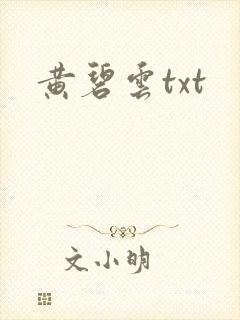 黄碧云txt
