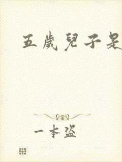 五岁儿子是相公