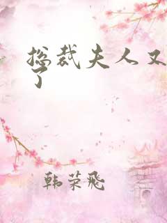 总裁夫人又征婚了