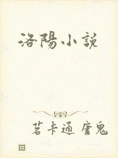 洛阳小说