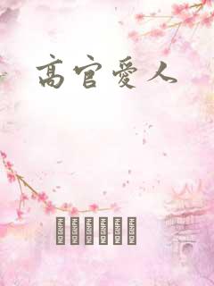 高官爱人