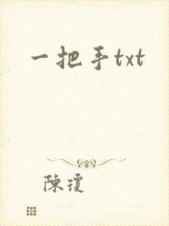 一把手txt