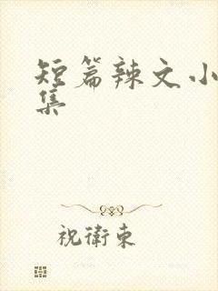 短篇辣文小说合集