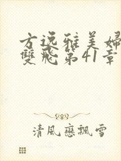 方逸雅美妇厨房双飞第41章