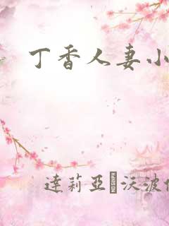 丁香人妻小说