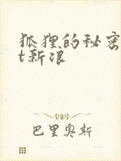 狐狸的秘密txt新浪