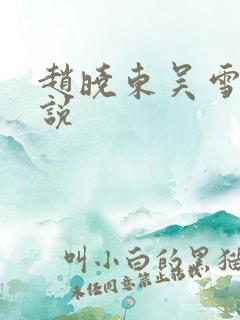 赵晓东吴雪晴小说