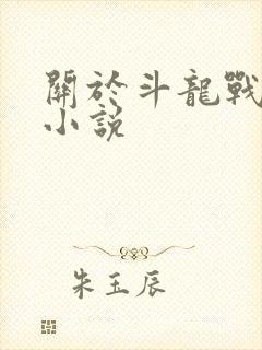 关于斗龙战士的小说