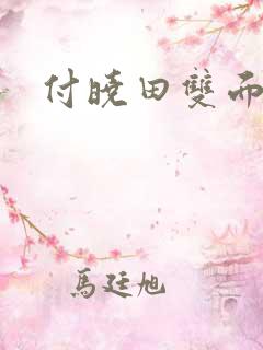 付晓田双面间谍