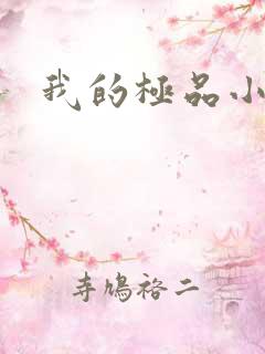我的极品小姨