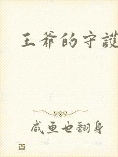 王爷的守护男妃