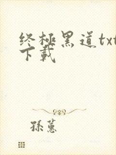 终极黑道txt下载