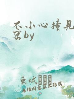 不小心撞见的秘密by