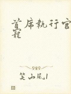 首席执行官的绝宠