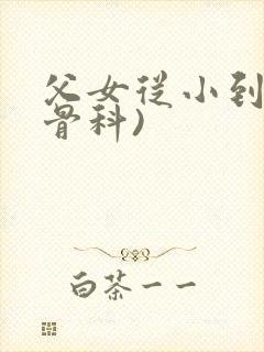 父女从小到大(骨科)