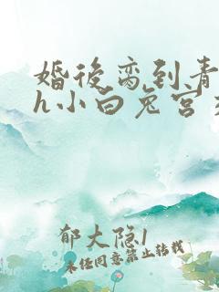 婚后脔到青梅哭h小白兔宫交h