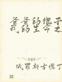 爸爸的棍子顶着我的生命之门