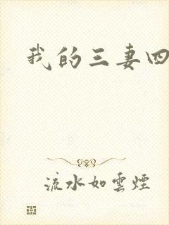 我的三妻四妾