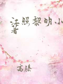 江照黎明小说原著