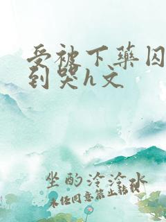 受被下药囚禁脔到哭h文