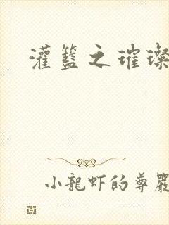 灌篮之璀璨生涯