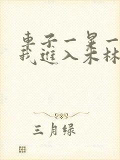 车子一晃一晃让我进入木林森