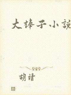 大棒子小说