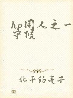 hp同人之一生守候