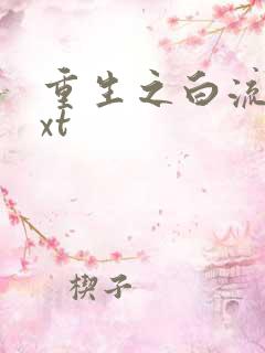重生之白流苏txt