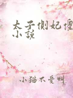 太子侧妃傻乎乎小说