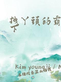 拽丫头的霸道殿下