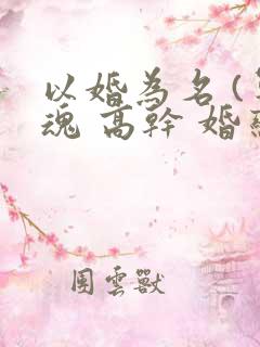 以婚为名 (军魂 高干 婚恋)