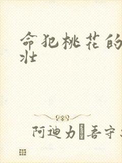 命犯桃花的李大壮